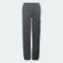 Детские брюки adidas  MINECRAFT TERREX CLIMAWARM SOFTSHELL (АРТИКУЛ:KD8751)