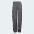 Детские брюки adidas  MINECRAFT TERREX CLIMAWARM SOFTSHELL (АРТИКУЛ:KD8751)