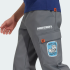 Детские брюки adidas  MINECRAFT TERREX CLIMAWARM SOFTSHELL (АРТИКУЛ:KD8751)