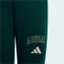 Детские брюки adidas SEASONALS COLLEGIATE TYPOGRAPHY JUNIOR (АРТИКУЛ:KS5129)
