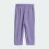 Комплект: світшот та штани adidas ESSENTIALS KIDS (АРТИКУЛ: KT0877)