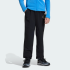 Детские брюки adidas TERREX CLIMA365 MULTI KIDS (АРТИКУЛ:KT0987)