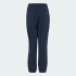Детские брюки adidas TERREX CLIMA365 MULTI KIDS (АРТИКУЛ:KT0988)