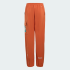 Детские брюки adidas  MINECRAFT TERREX CLIMAWARM SOFTSHELL (АРТИКУЛ:KV7474)