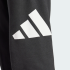 Спортивные брюки adidas ESSENTIALS BIG LOGO FRENCH TERRY (АРТИКУЛ:IN6163) Спортивные брюки adidas ESSENTIALS BIG LOGO FRENCH TERRY (АРТИКУЛ:IN6163)