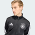 Олімпійка adidas DFB DNA TT (АРТИКУЛ:JZ9345)