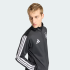Олімпійка adidas DFB DNA TT (АРТИКУЛ:JZ9345)