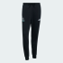 Спортивные брюки adidas MERCEDES - AMG PETRONAS FORMULA 1 TEAM DNA (АРТИКУЛ:KE5913)
