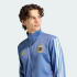 Олімпійка adidas ARGENTINA DNA TRACK (АРТИКУЛ:JZ6289)