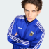 Олимпийка adidas ARGENTINA ORIGINALS (АРТИКУЛ:JZ6305)