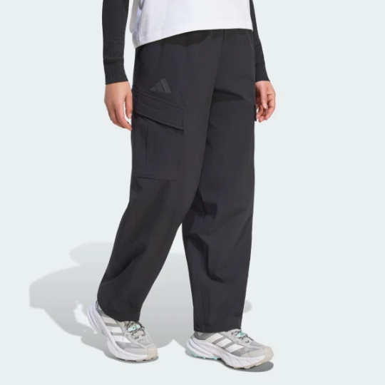 Брюки adidas XPLORIC CLIMAWARM WINTERIZED CARGO (АРТИКУЛ:KD5170)