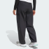 Брюки adidas XPLORIC CLIMAWARM WINTERIZED CARGO (АРТИКУЛ:KD5170)