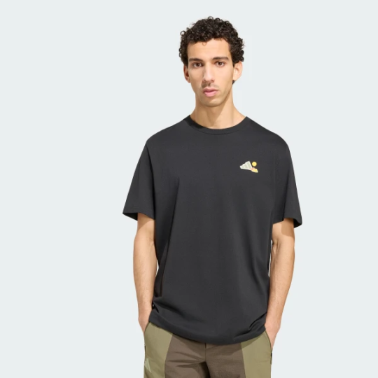 Футболка adidas TERREX CAMPER GRAPHIC (АРТИКУЛ:KS2518)