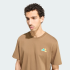 Футболка adidas TERREX CAMPER GRAPHIC (АРТИКУЛ:KS2519)