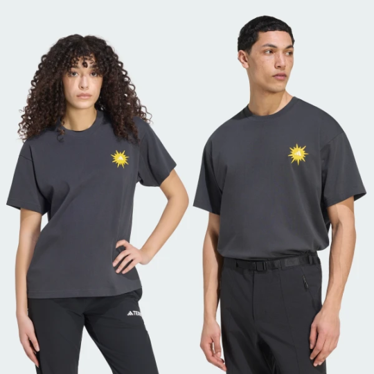 Футболка adidas TERREX PHOTOTROPIC LIFE GRAPHIC (АРТИКУЛ:KS2529)