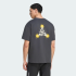 Футболка adidas TERREX PHOTOTROPIC LIFE GRAPHIC (АРТИКУЛ:KS2529)