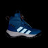 Черевики adidas FORTATRAIL BOA KIDS (АРТИКУЛ:JR3106)