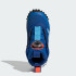 Черевики adidas FORTATRAIL BOA KIDS (АРТИКУЛ:JR3106)