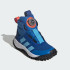 Черевики adidas FORTATRAIL BOA KIDS (АРТИКУЛ:JR3106)