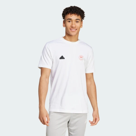 Футболка adidas HOUSE OF TIRO SUMMER GRAPHIC (АРТИКУЛ:IW2665)
