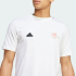 Футболка adidas HOUSE OF TIRO SUMMER GRAPHIC (АРТИКУЛ:IW2665)