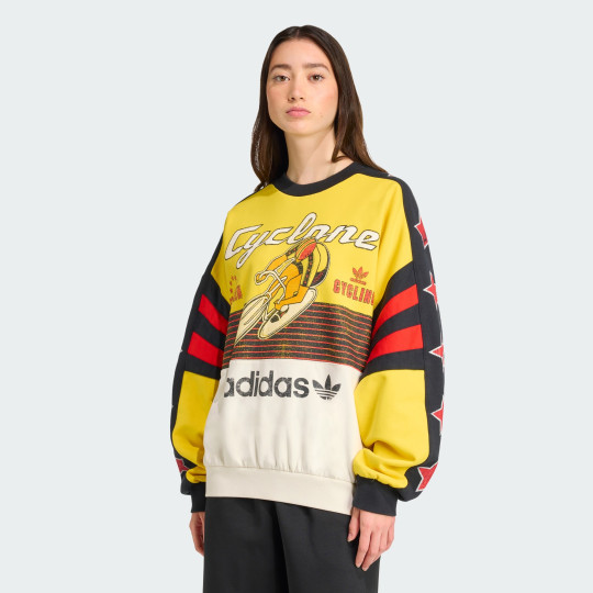 Женский свитшот adidas ARCHIVE CYCLING (АРТИКУЛ:JW0147) Женский свитшот adidas ARCHIVE CYCLING (АРТИКУЛ:JW0147)