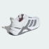 Жіночі кросівки adidas DROPSET CONTROL (АРТИКУЛ:JS3121 )