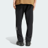 Спортивные брюки adidas TERREX MULTI ESSENTIALS STRETCH (АРТИКУЛ:KW7404)