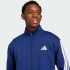 Чоловічий спортивний костюм adidas SPORTSWEAR BASIC 3-STRIPES FLEECE  (АРТИКУЛ:JI8882)
