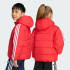 Куртка adidas ADICOLOR KIDS  (АРТИКУЛ:JV8550)