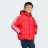 Куртка adidas ADICOLOR KIDS  (АРТИКУЛ:JV8550)