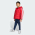 Куртка adidas ADICOLOR KIDS  (АРТИКУЛ:JV8550)