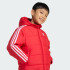 Куртка adidas ADICOLOR KIDS  (АРТИКУЛ:JV8550)