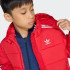 Куртка adidas ADICOLOR KIDS  (АРТИКУЛ:JV8550)