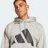 Худі adidas ESSENTIALS BIG LOGO FLEECE (АРТИКУЛ:IN6160) Худі adidas ESSENTIALS BIG LOGO FLEECE (АРТИКУЛ:IN6160)