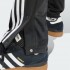 Мужские брюки adidas ADICOLOR CLASSICS ADIBREAK (АРТИКУЛ:IM8219)