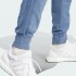 Мужские брюки adidas ALL SZN FRENCH TERRY 3-STRIPES GARMENT-WASHING  (АРТИКУЛ:IR5202)