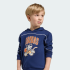 Худи adidas DISNEY MICKEY MOUSE (АРТИКУЛ:JZ3561)