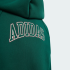 Толстовка adidas SEASONALS COLLEGIATE TYPOGRAPHY JUNIOR (АРТИКУЛ:KS5142)