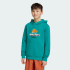 Худи  adidas MINECRAFT TERREX (АРТИКУЛ:KT0906)