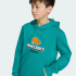 Худи  adidas MINECRAFT TERREX (АРТИКУЛ:KT0906)