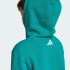 Худи  adidas MINECRAFT TERREX (АРТИКУЛ:KT0906)