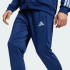 Мужской спортивный костюм adidas SPORTSWEAR BASIC 3-STRIPES FRENCH TERRY (АРТИКУЛ:JI8873)