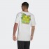 Мужская футболка adidas GRAPHIC STOKED FISH FLOWERS (АРТИКУЛ:HC7143)