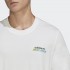 Чоловіча футболка adidas GRAPHIC STOKED FISH FLOWERS  (АРТИКУЛ:HC7143)