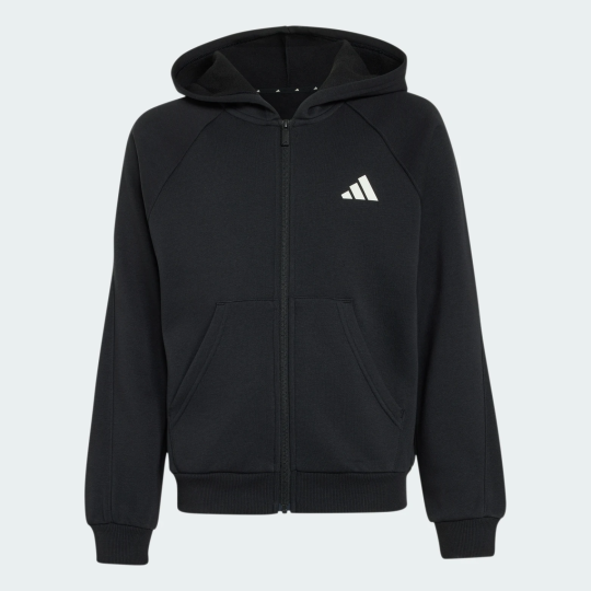 Толстовка adidas SEASONALS COLLEGIATE TYPOGRAPHY JUNIOR (АРТИКУЛ:KS5138)