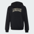 Толстовка adidas SEASONALS COLLEGIATE TYPOGRAPHY JUNIOR (АРТИКУЛ:KS5138)