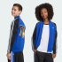 Спортивная кофта adidas POKEMON SST (АРТИКУЛ:KS7116)