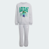 Комплект: свитшот и джоггеры adidas MINECRAFT (АРТИКУЛ:KS9036)