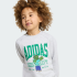 Комплект: свитшот и джоггеры adidas MINECRAFT (АРТИКУЛ:KS9036)